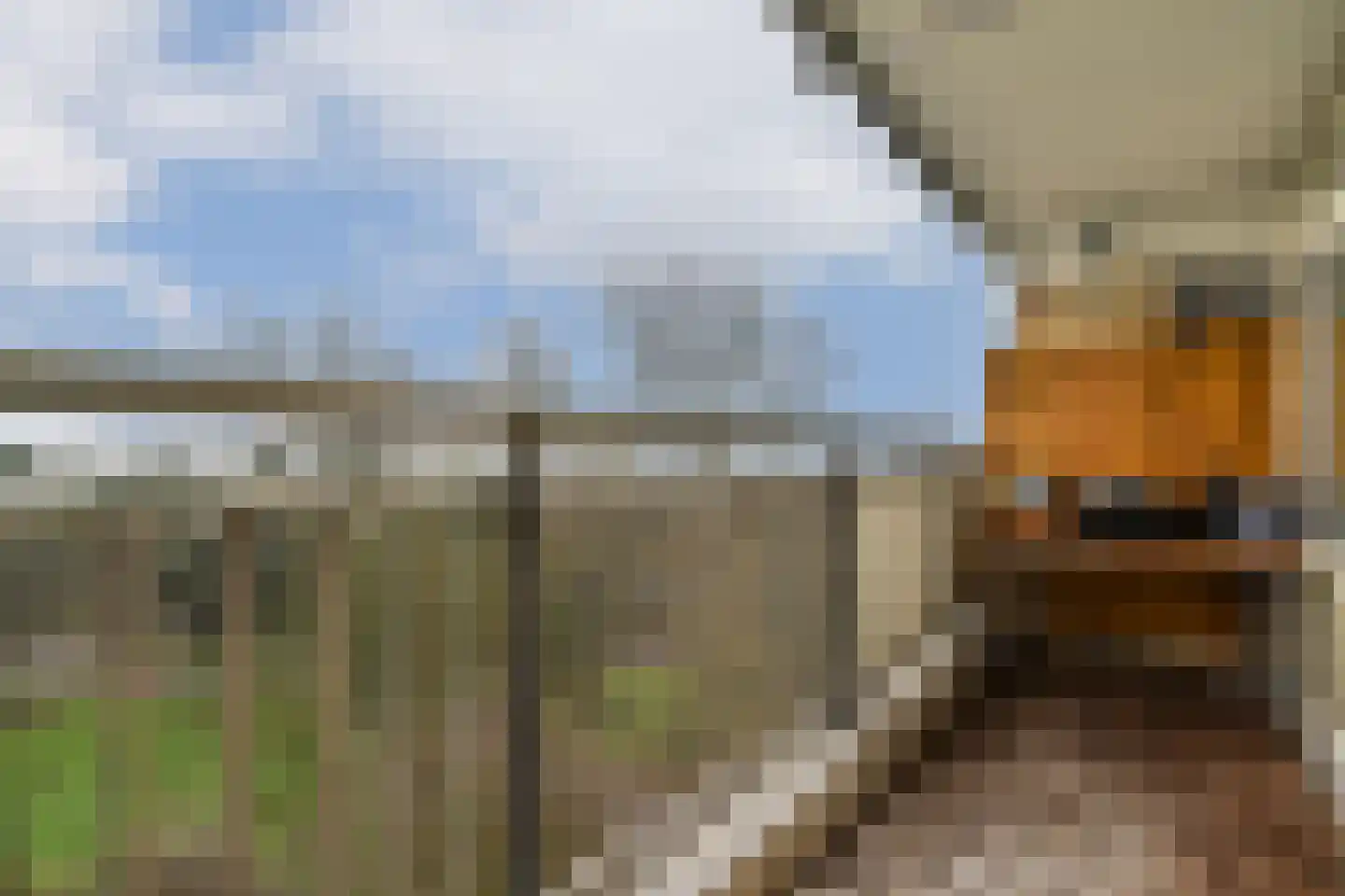 Wipmolen 53 Amsterdam thumbnail 20