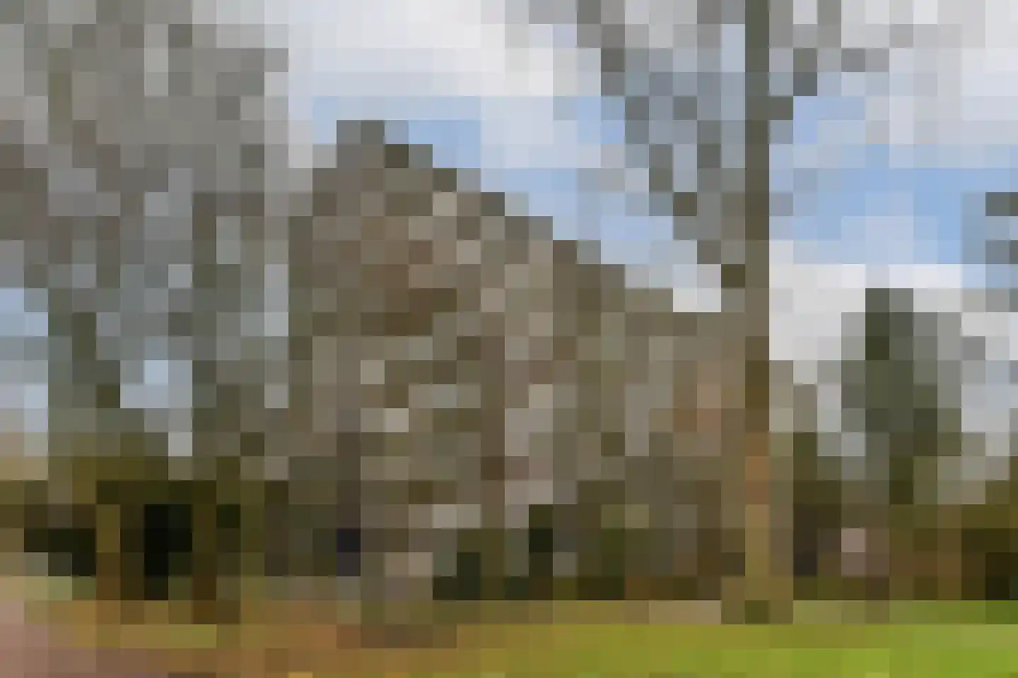 Wipmolen 53 Amsterdam thumbnail 23