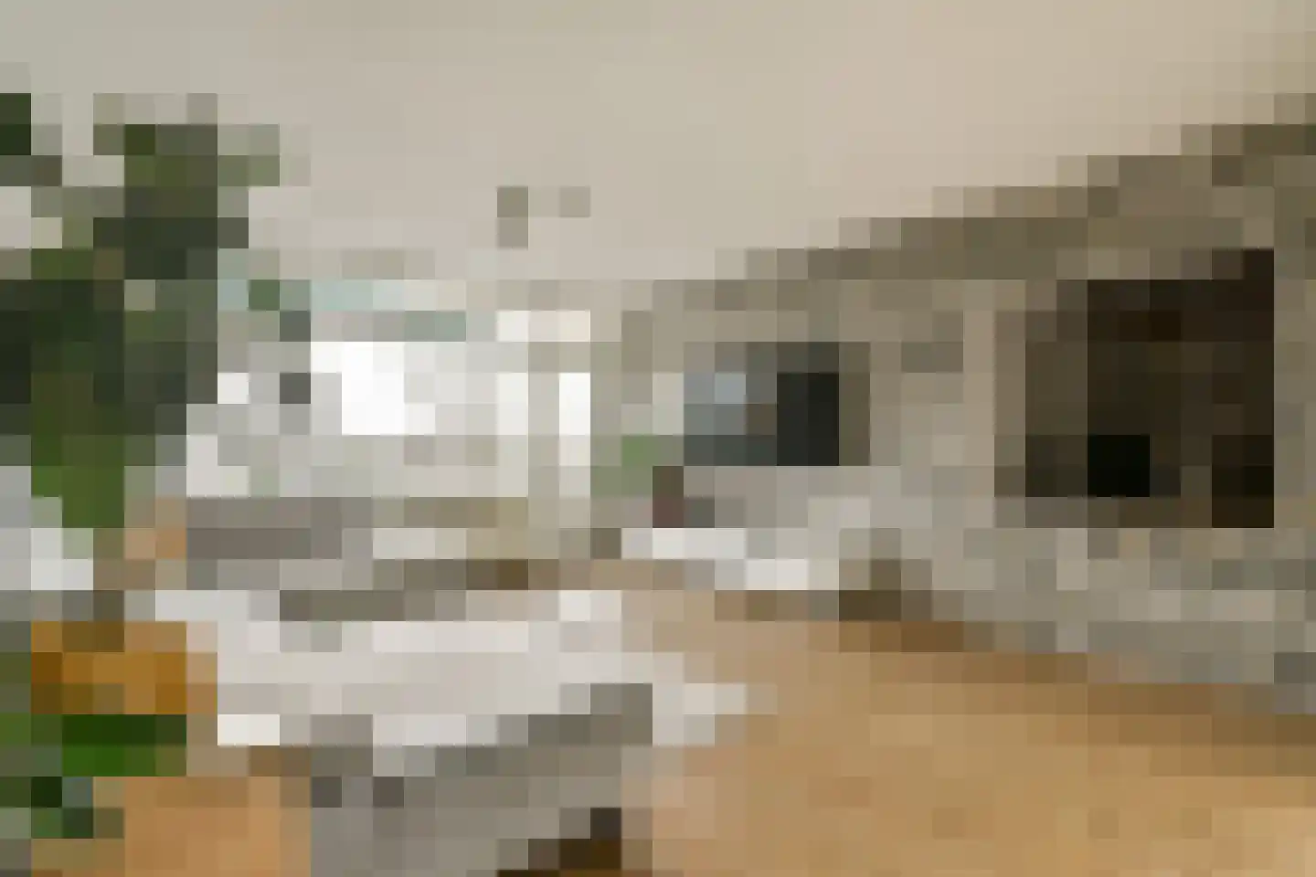 Wipmolen 53 Amsterdam thumbnail 4