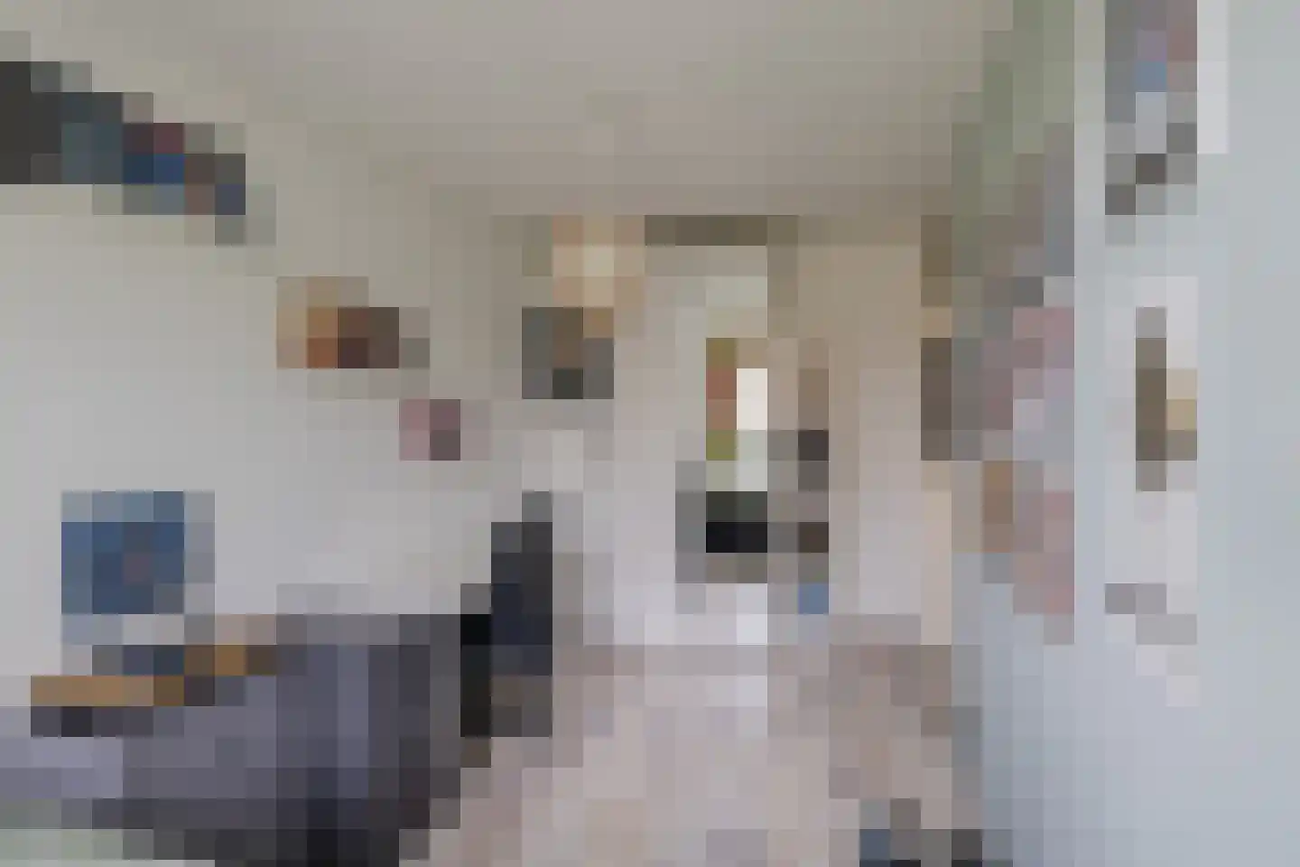 Wipmolen 6 Alphen aan den Rijn thumbnail 17