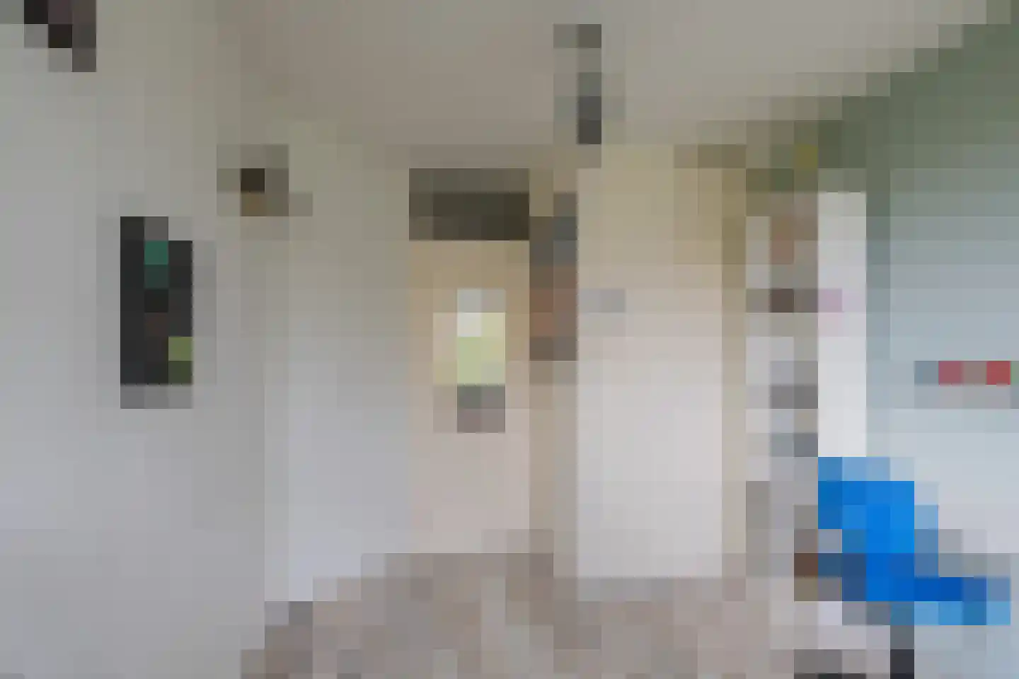 Wipmolen 6 Alphen aan den Rijn thumbnail 19