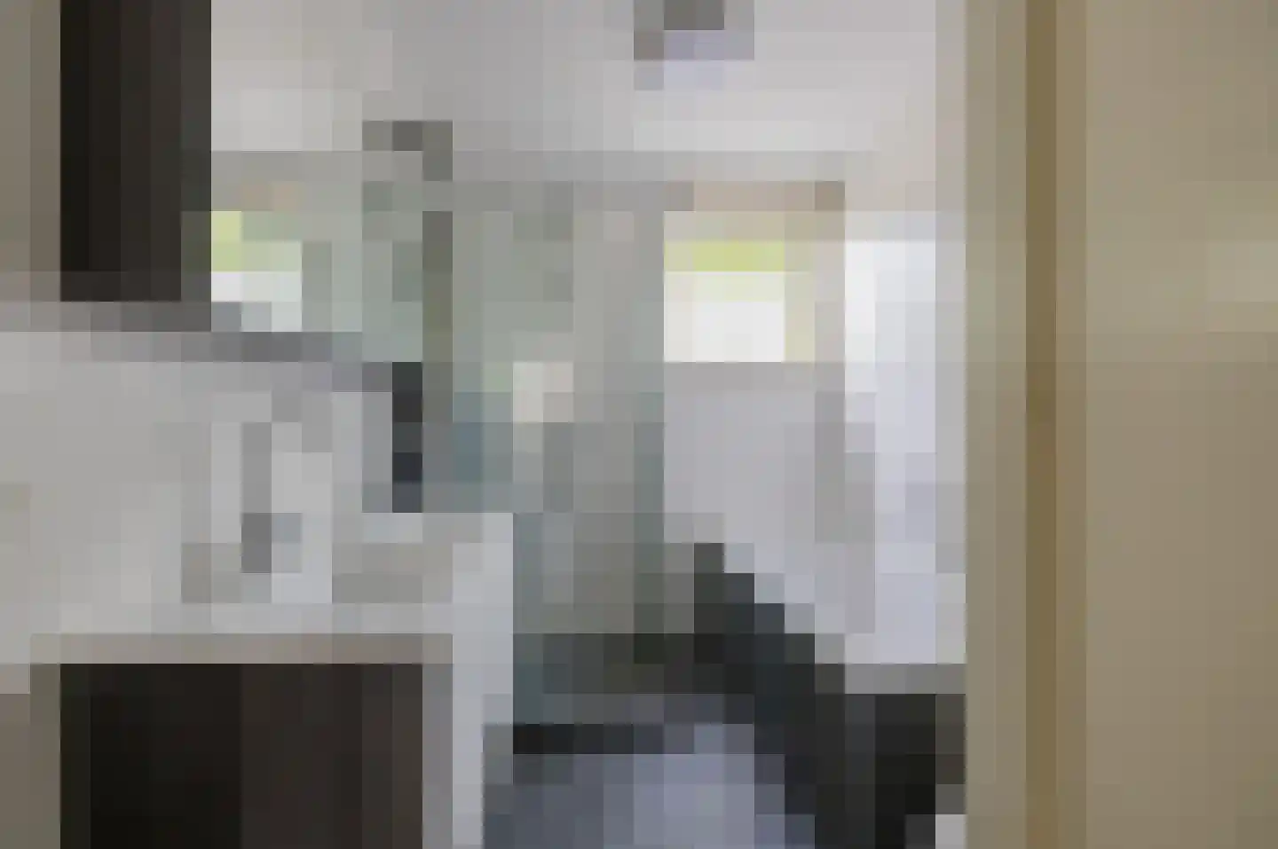 Wipmolen 6 Alphen aan den Rijn thumbnail 20