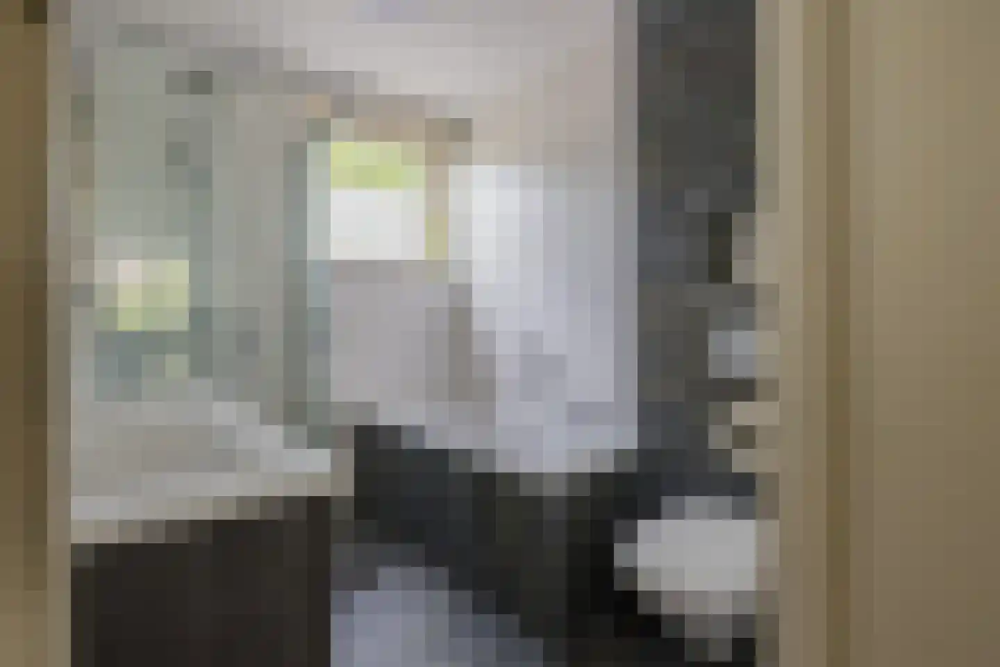 Wipmolen 6 Alphen aan den Rijn thumbnail 21