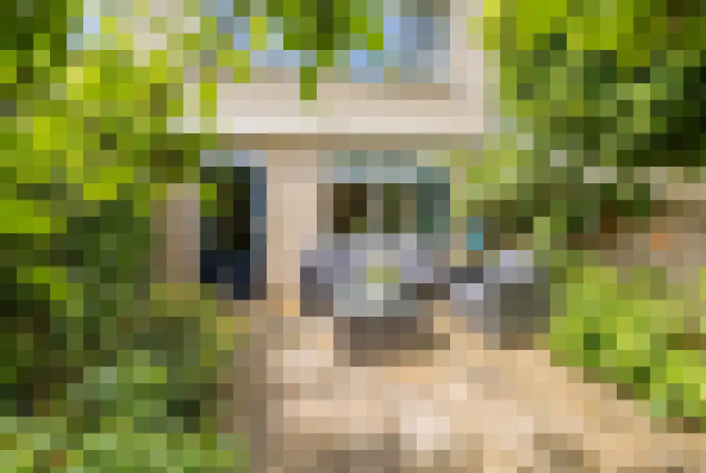 Wipmolen 6 Alphen aan den Rijn thumbnail 32
