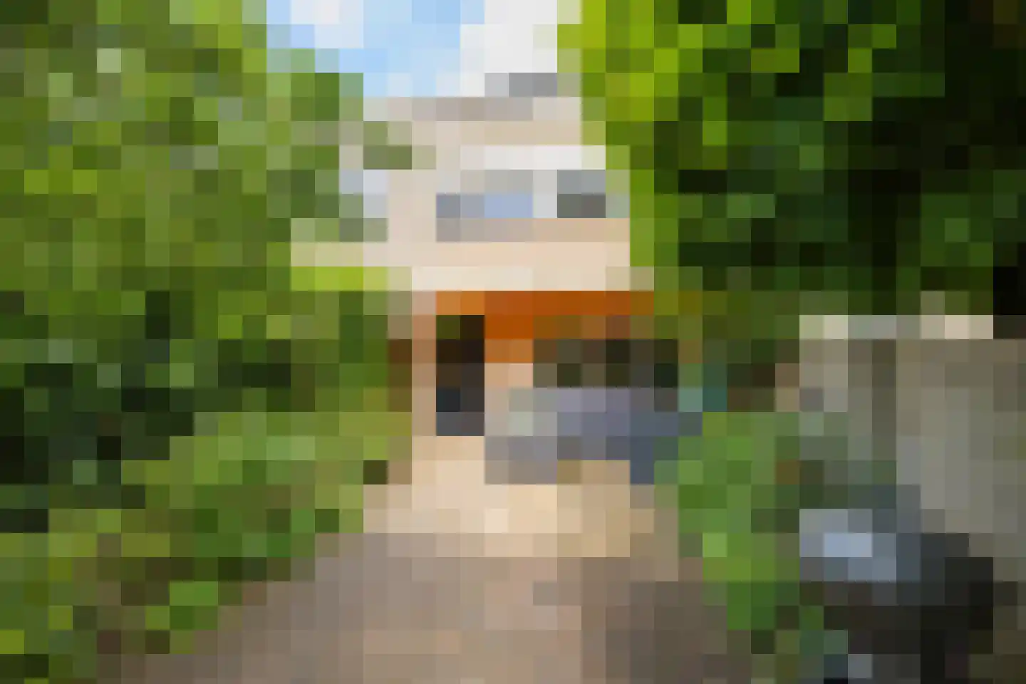 Wipmolen 6 Alphen aan den Rijn thumbnail 33