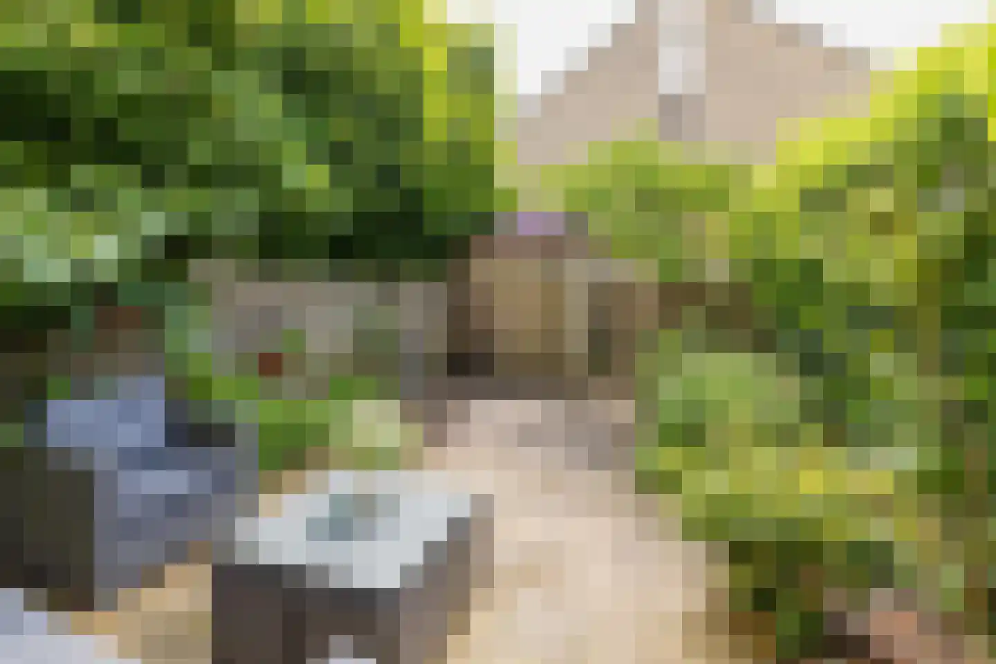 Wipmolen 6 Alphen aan den Rijn thumbnail 33