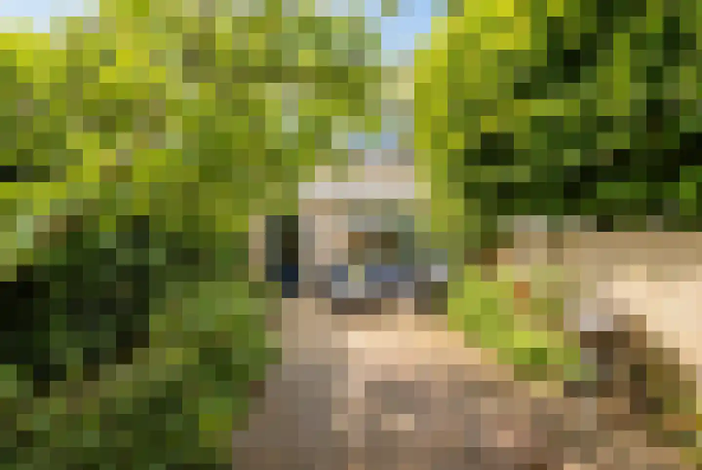 Wipmolen 6 Alphen aan den Rijn thumbnail 34