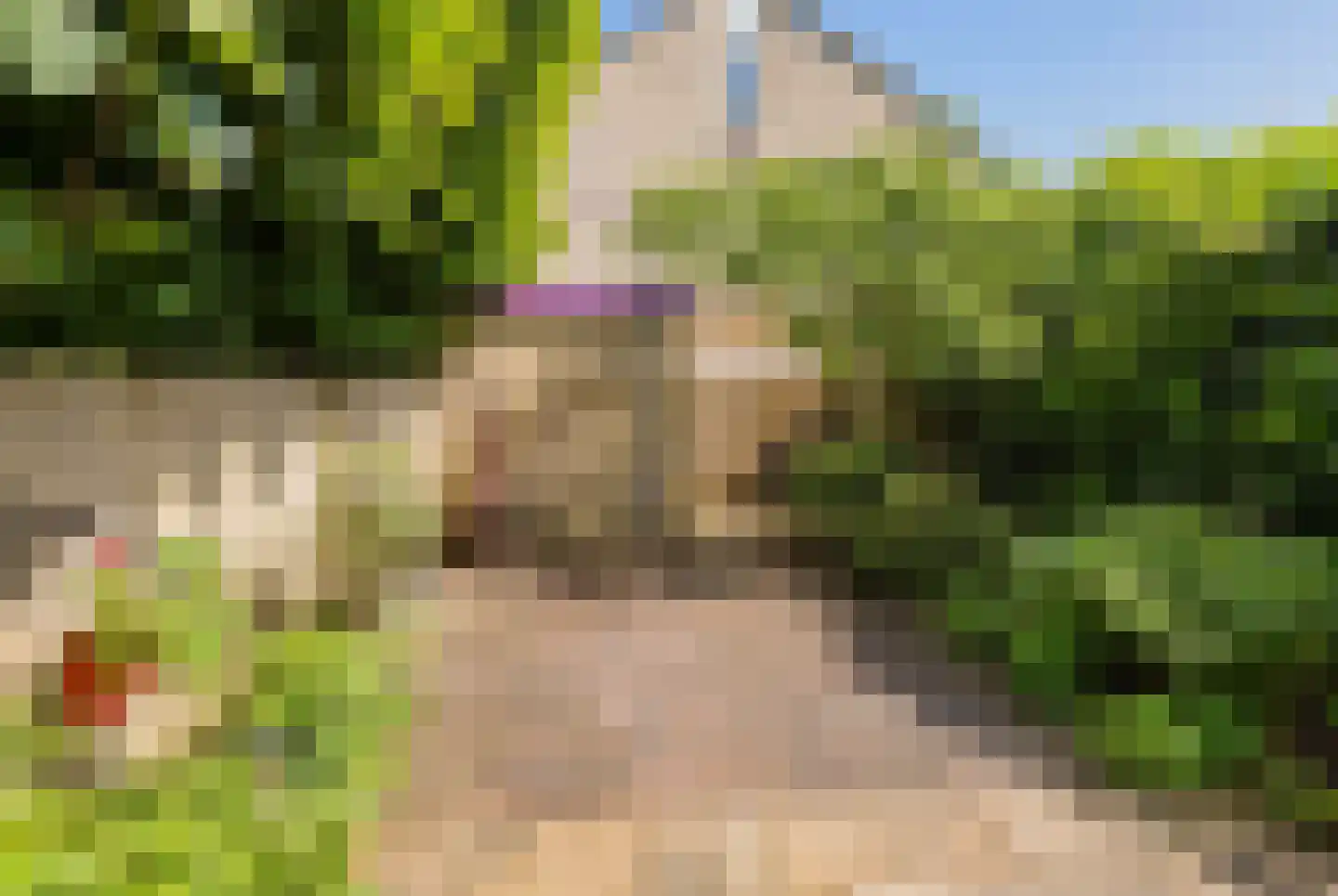 Wipmolen 6 Alphen aan den Rijn thumbnail 35