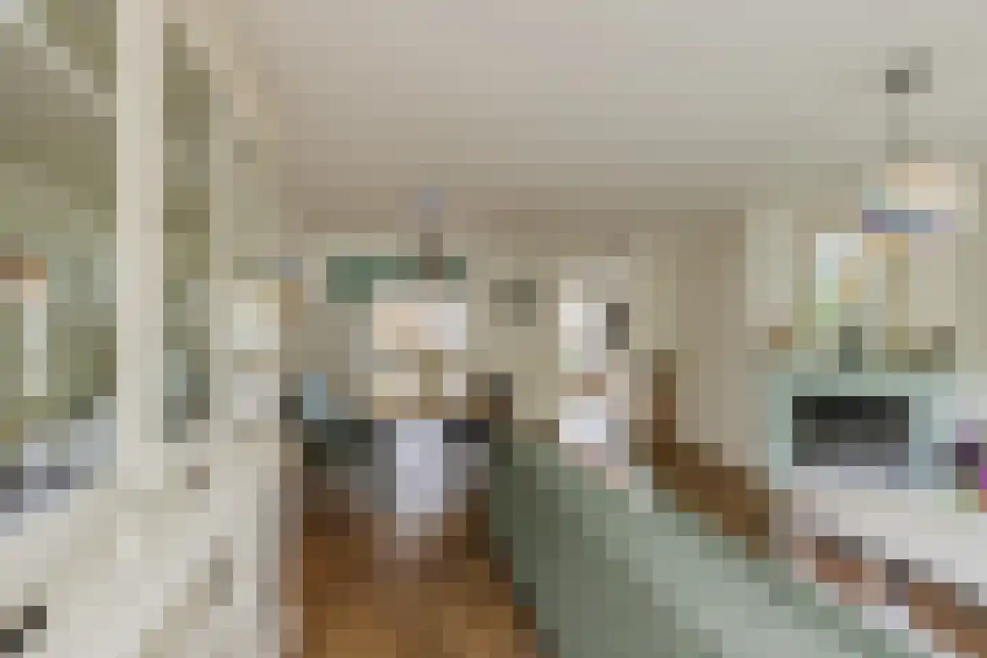 Wipmolen 6 Alphen aan den Rijn thumbnail 6