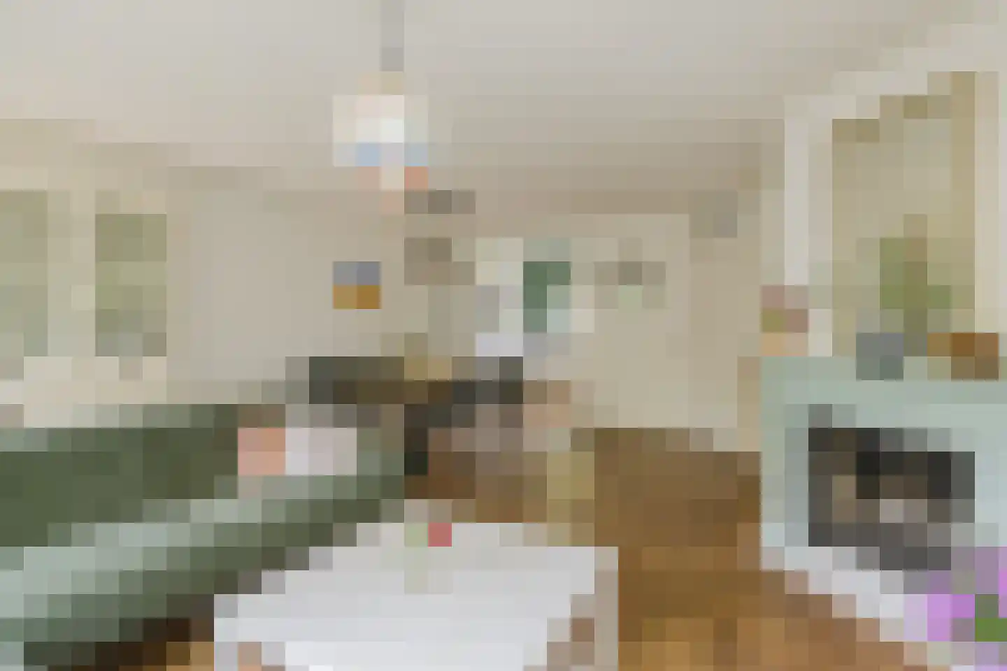 Wipmolen 6 Alphen aan den Rijn thumbnail 7