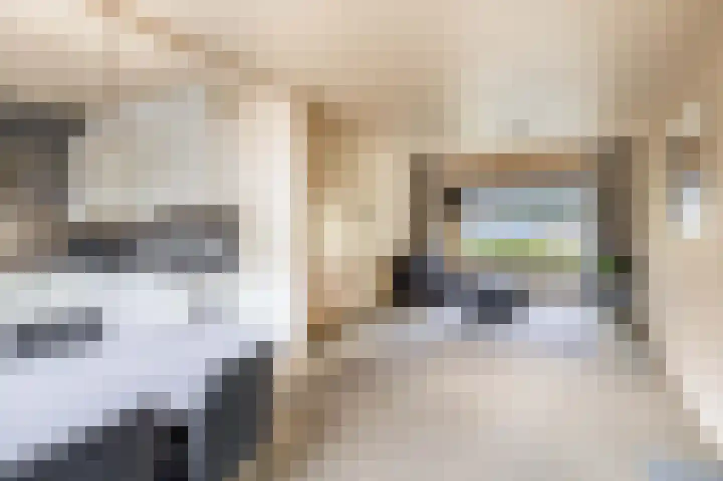 Wipmolen 60 Papendrecht thumbnail 10