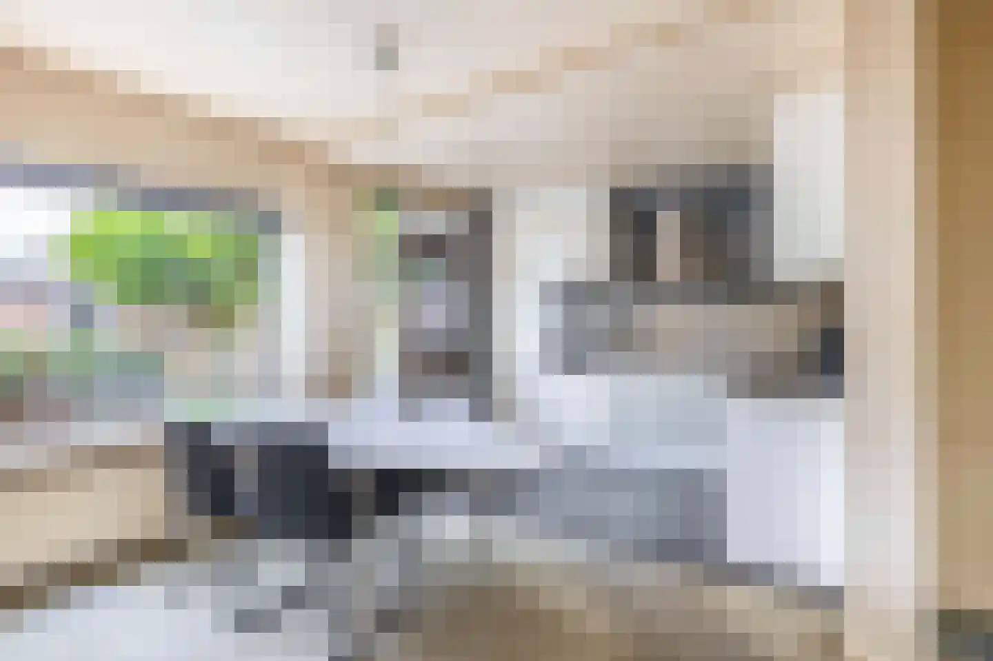 Wipmolen 60 Papendrecht thumbnail 11