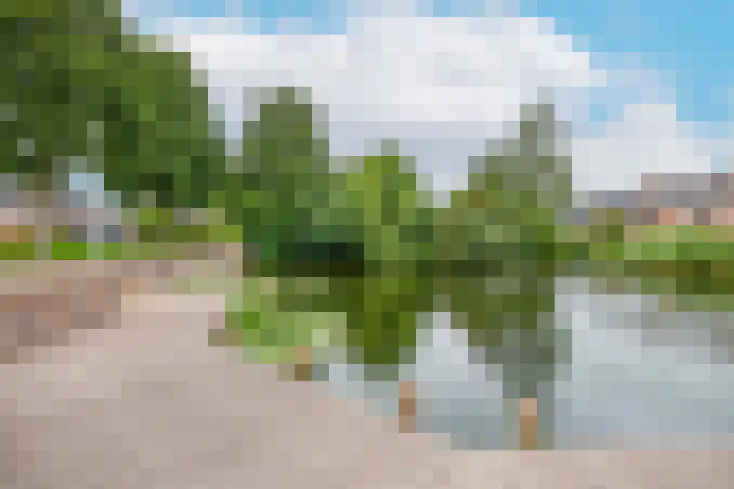 Wipmolen 60 Papendrecht thumbnail 31
