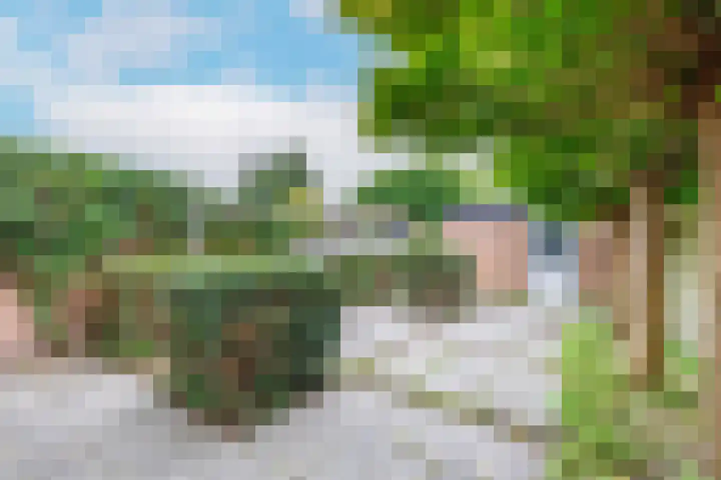 Wipmolen 60 Papendrecht thumbnail 5