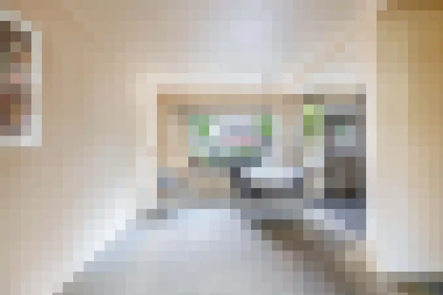 Wipmolen 60 Papendrecht thumbnail 9