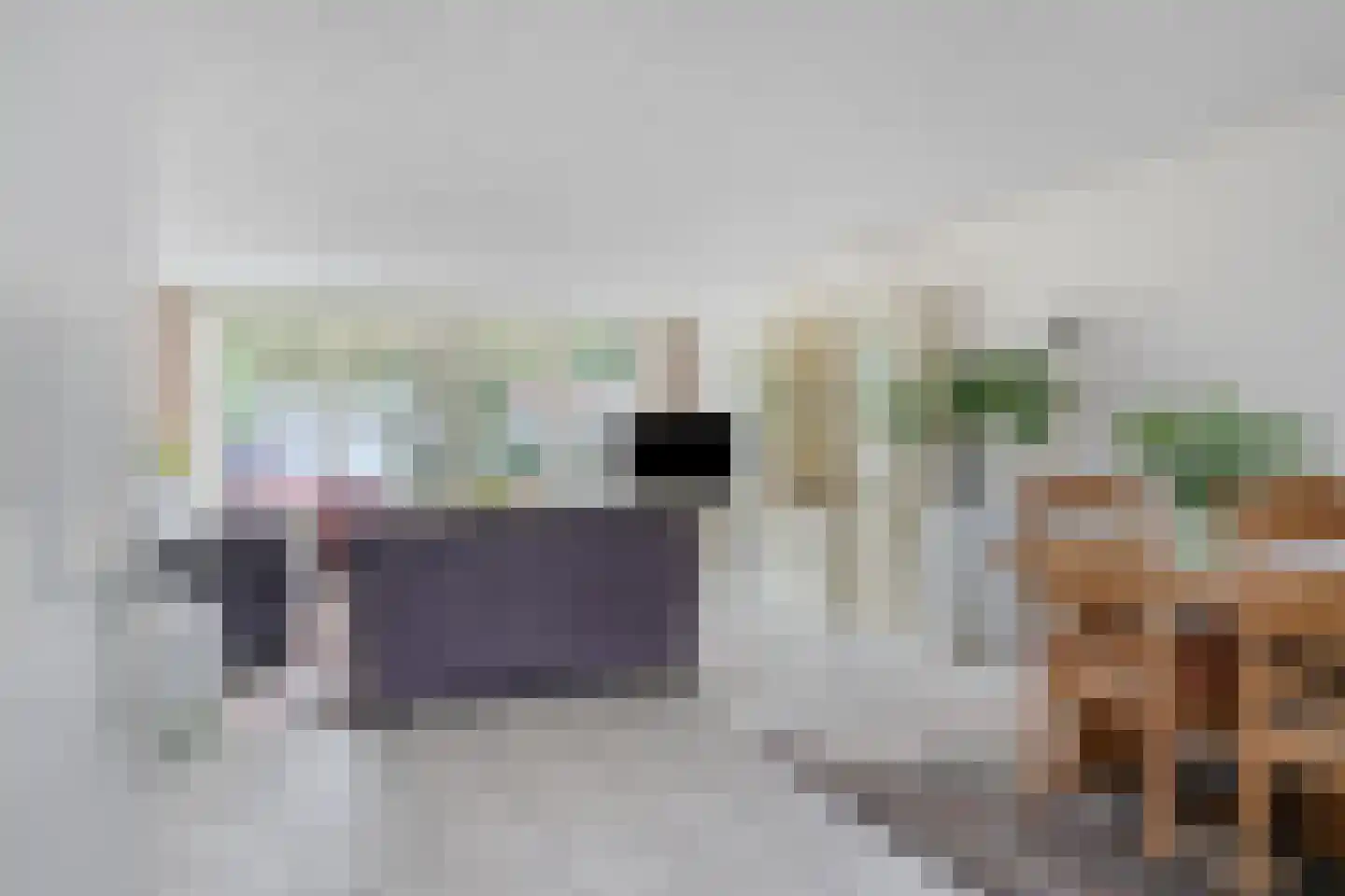 Wipmolen 60 Purmerend thumbnail 11