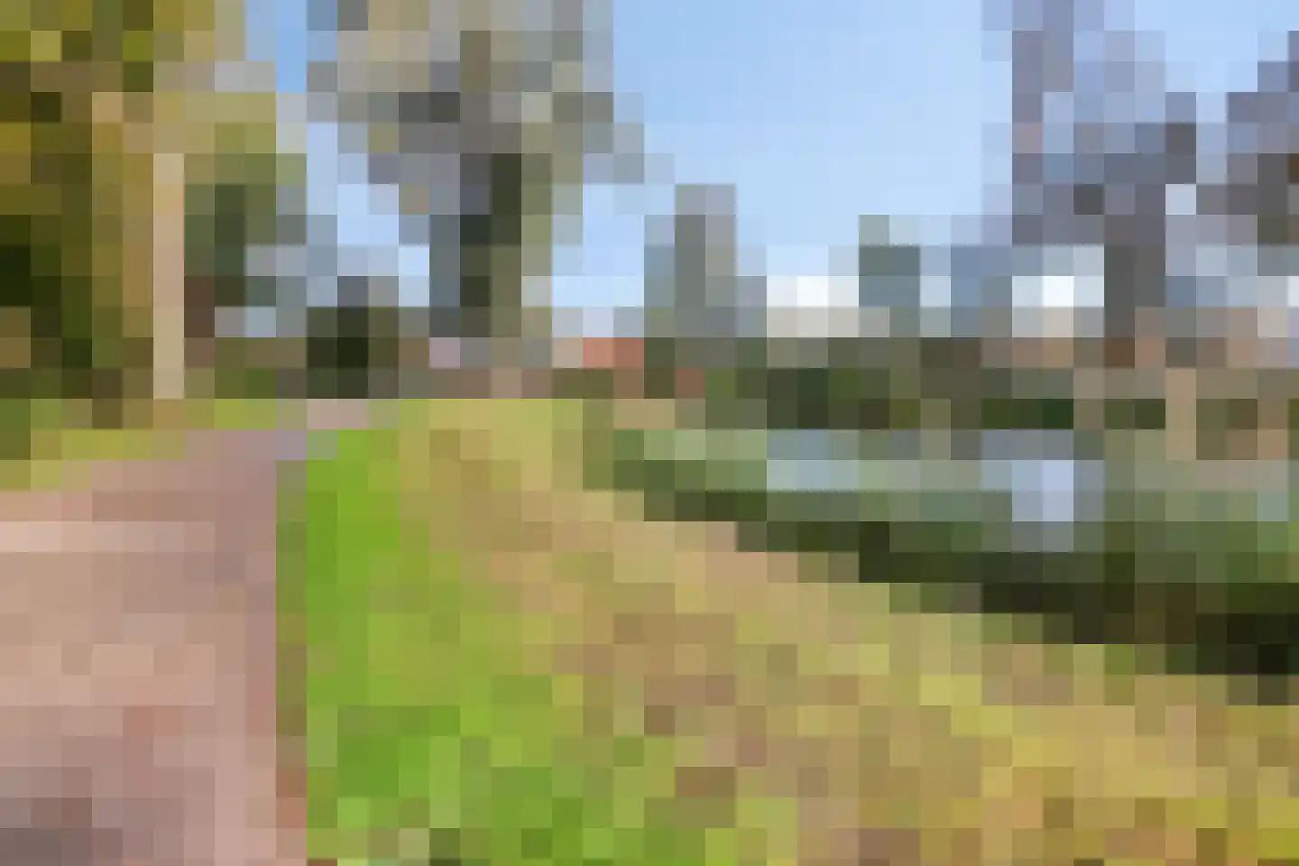 Wipmolen 60 Purmerend thumbnail 31
