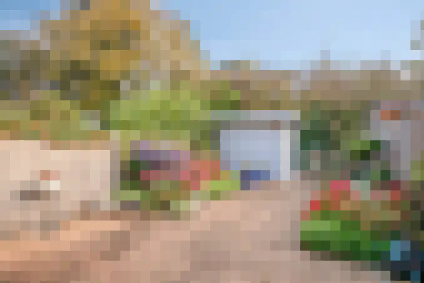 Wipmolen 60 Purmerend thumbnail 6