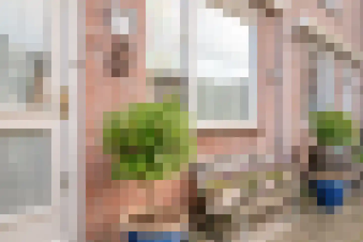Wipmolen 60 Purmerend thumbnail 9