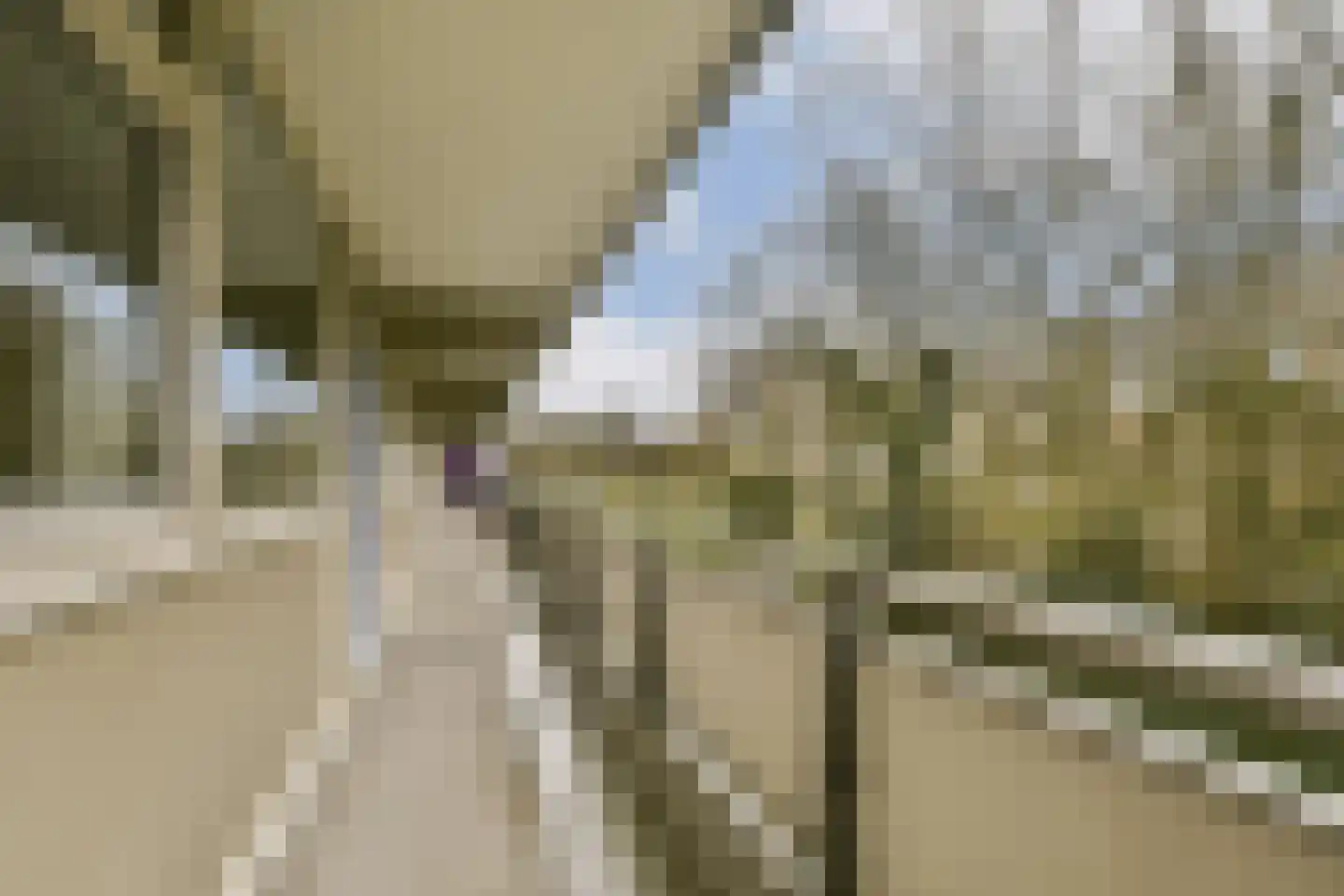 Wipmolen 7 Amsterdam thumbnail 21