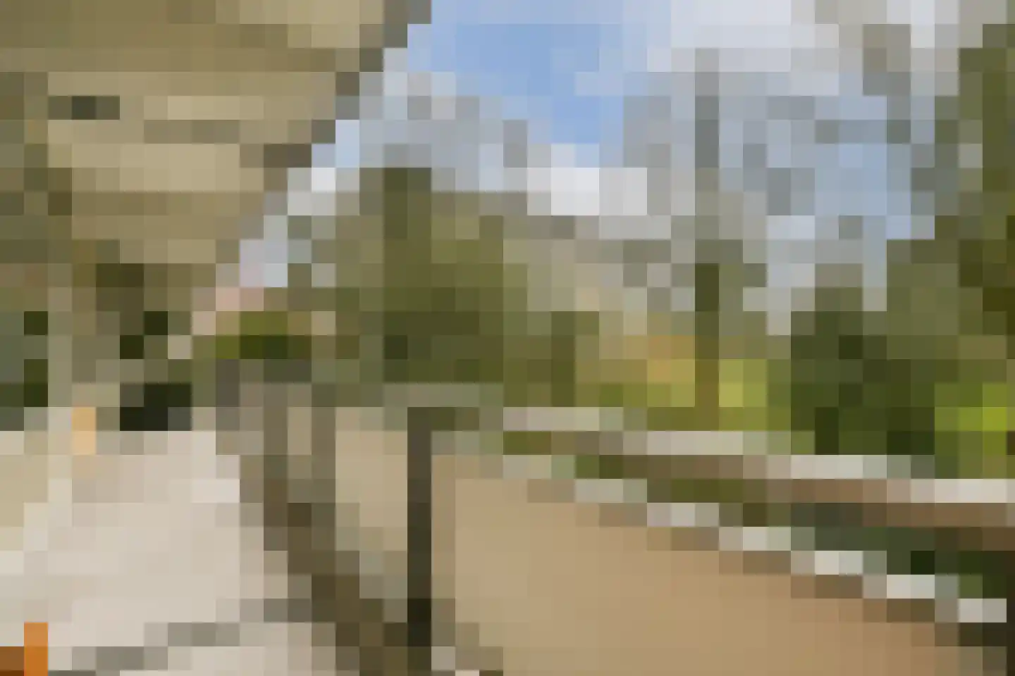 Wipmolen 7 Amsterdam thumbnail 22