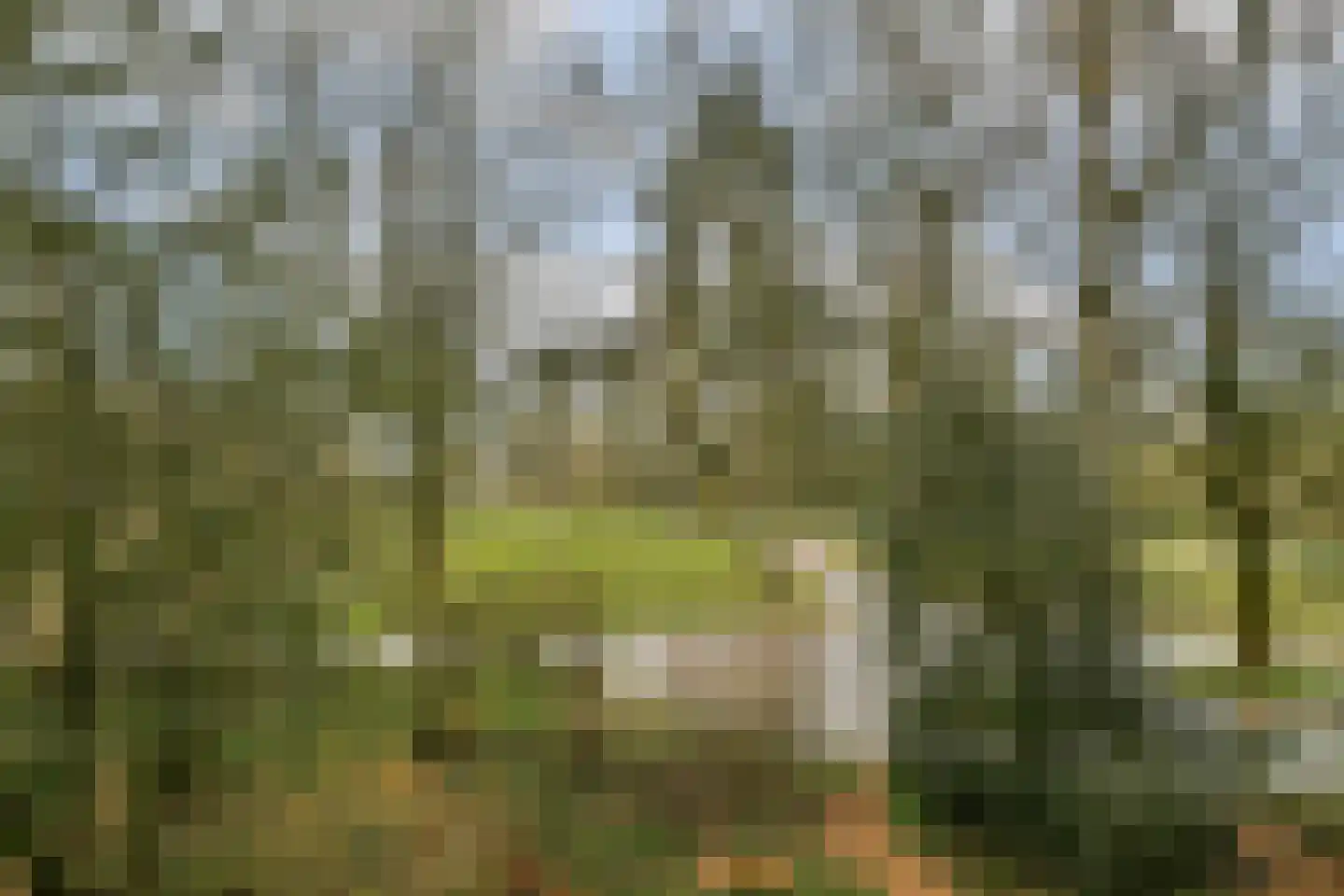 Wipmolen 7 Amsterdam thumbnail 24