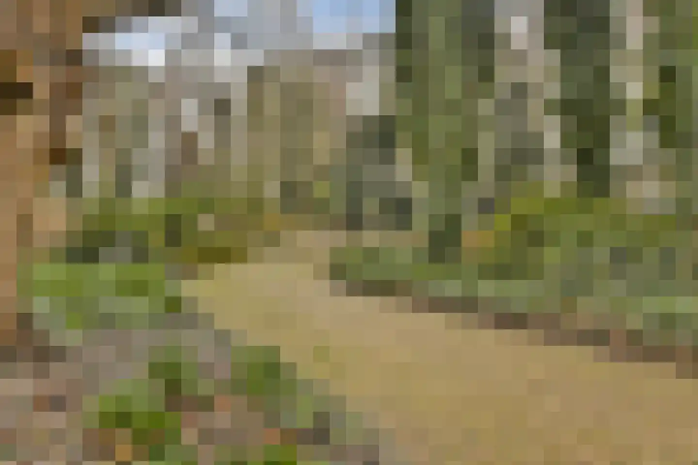 Wipmolen 7 Amsterdam thumbnail 25