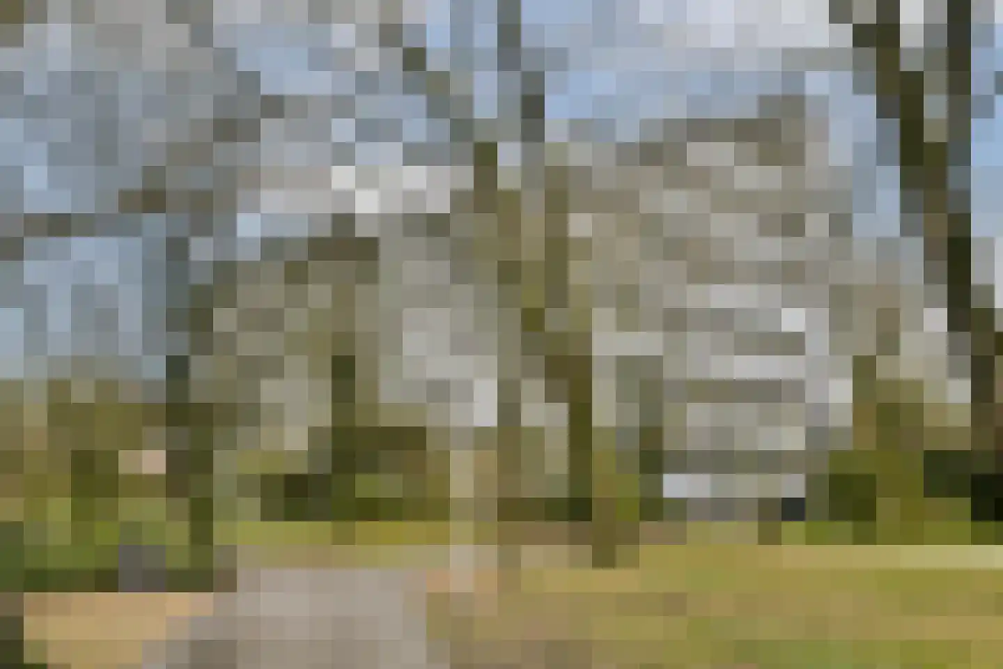 Wipmolen 7 Amsterdam thumbnail 27