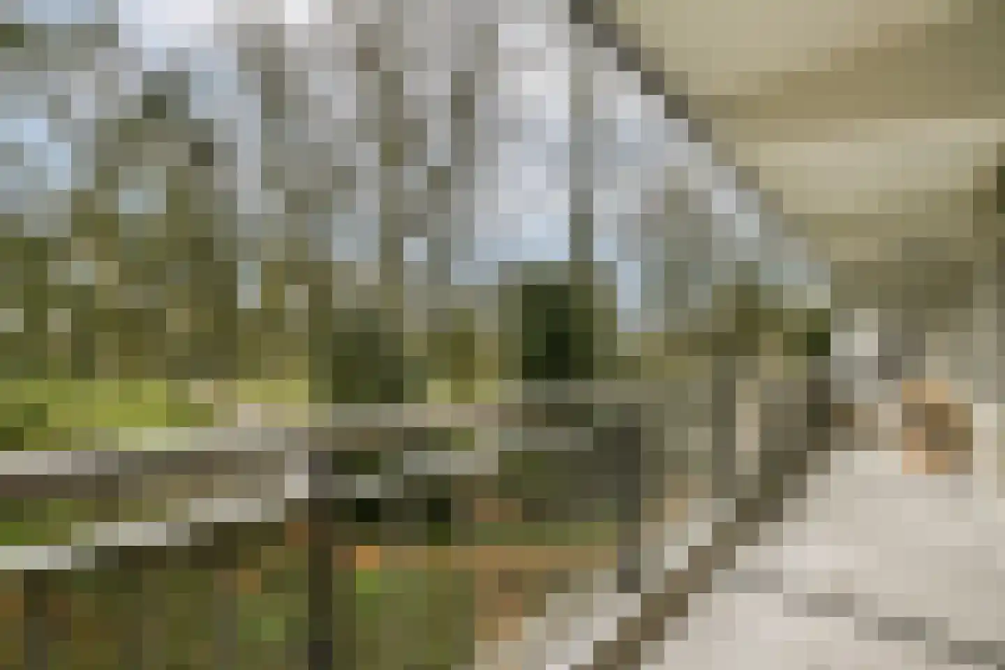Wipmolen 7 Amsterdam thumbnail 7