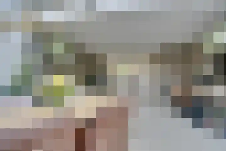Wipmolen 7 Purmerend thumbnail 14