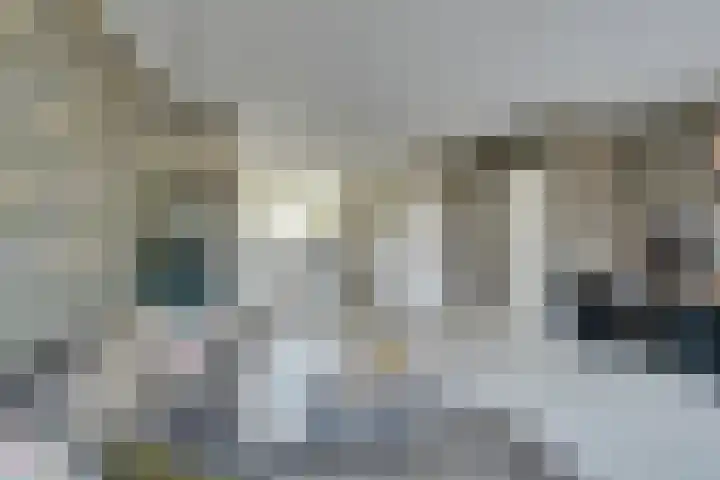 Wipmolen 7 Purmerend thumbnail 15