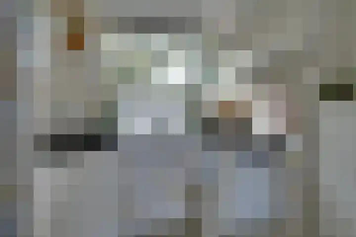 Wipmolen 7 Purmerend thumbnail 21