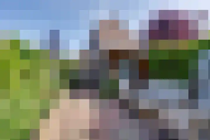 Wipmolen 7 Purmerend thumbnail 27