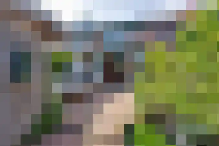 Wipmolen 7 Purmerend thumbnail 30
