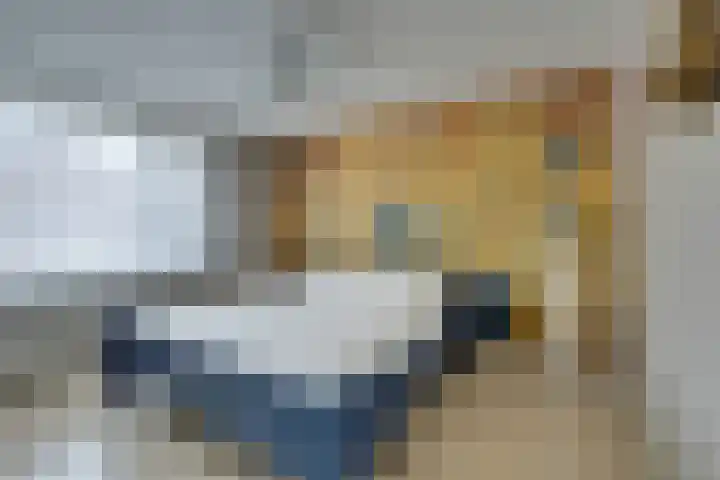 Wipmolen 7 Purmerend thumbnail 31
