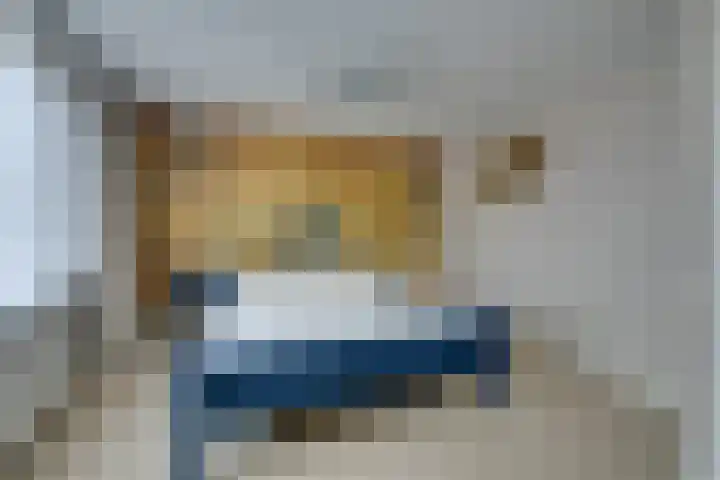 Wipmolen 7 Purmerend thumbnail 34