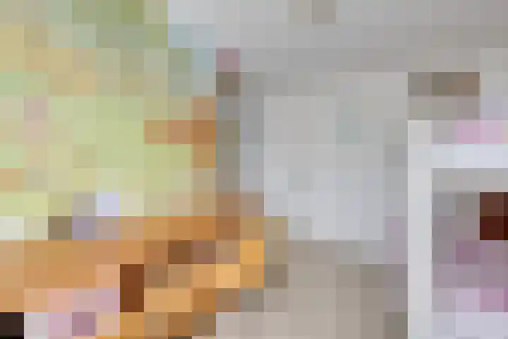 Wipmolen 7 Purmerend thumbnail 39