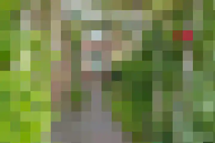 Wipmolen 7 Purmerend thumbnail 4