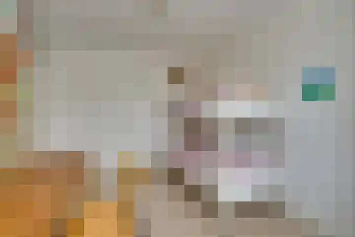 Wipmolen 7 Purmerend thumbnail 40