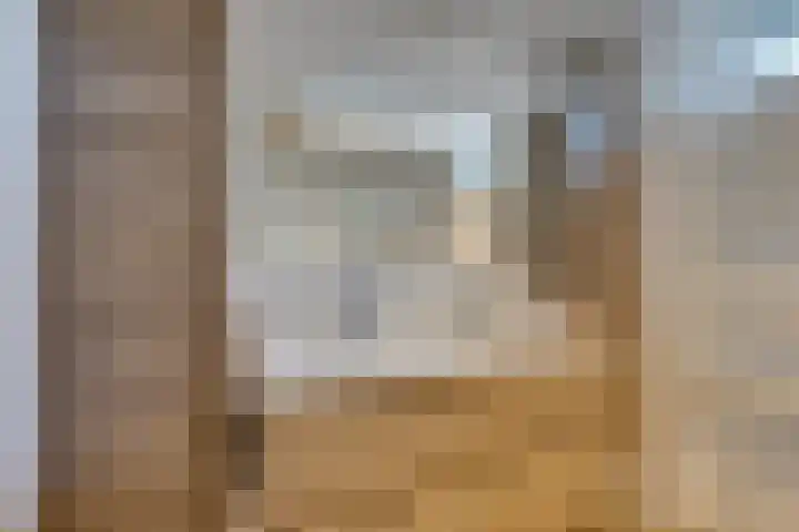 Wipmolen 7 Purmerend thumbnail 42
