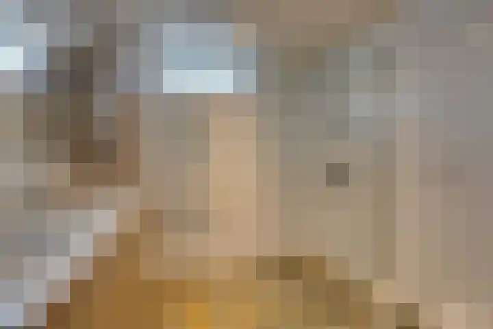 Wipmolen 7 Purmerend thumbnail 43
