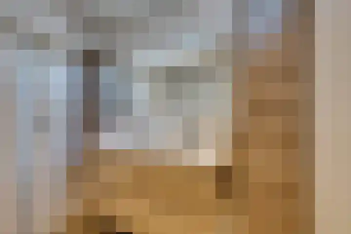 Wipmolen 7 Purmerend thumbnail 44