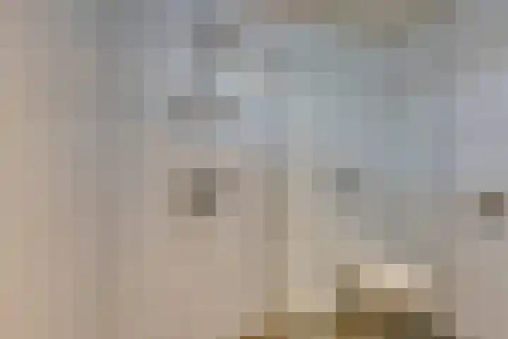 Wipmolen 7 Purmerend thumbnail 45