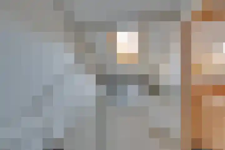 Wipmolen 7 Purmerend thumbnail 49