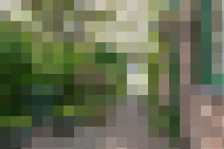 Wipmolen 7 Purmerend thumbnail 5