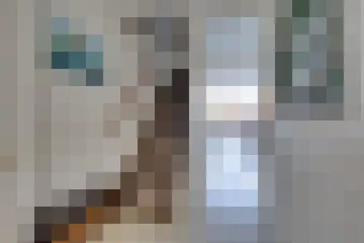 Wipmolen 7 Purmerend thumbnail 8
