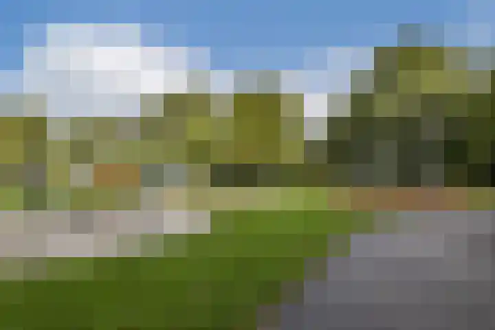 Wipmolen 79 Amsterdam thumbnail 23