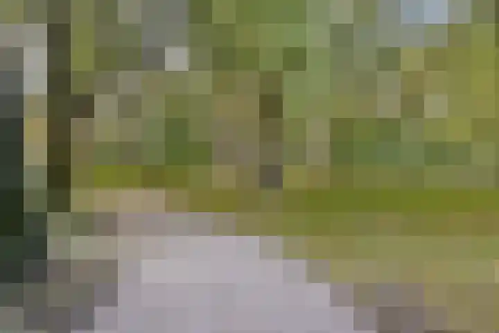 Wipmolen 79 Amsterdam thumbnail 24