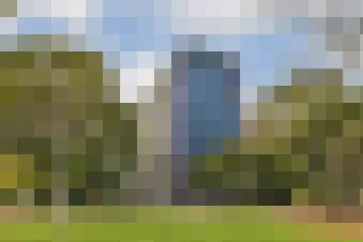 Wipmolen 79 Amsterdam thumbnail 25