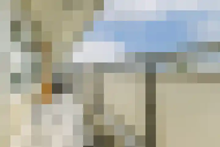 Wipmolen 79 Amsterdam thumbnail 5